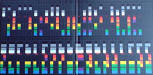 Laden Sie das Bild in den Galerie-Viewer, Coldplay : X&Y (2xLP, Album, Sli)