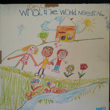 Load image into Gallery viewer, Tom Clay : What The World Needs Now Is Love (LP, Album, Pro)