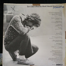 Load image into Gallery viewer, Tom Clay : What The World Needs Now Is Love (LP, Album, Pro)