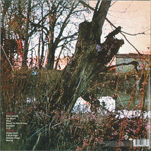 Load image into Gallery viewer, Black Sabbath : Black Sabbath (LP, Album, RE, RM, 180)