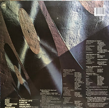 Load image into Gallery viewer, Herb Alpert : Rise (LP, Album)