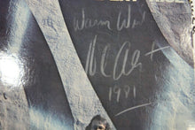 Load image into Gallery viewer, Herb Alpert : Rise (LP, Album)