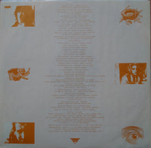 Laden Sie das Bild in den Galerie-Viewer, Lone Justice : Shelter (LP, Album, All)