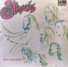 Load image into Gallery viewer, Alan Stivell : From Celtic Roots... (LP, Album, Gat)