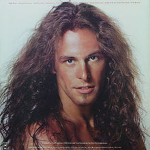 Load image into Gallery viewer, Ted Nugent : Weekend Warriors (LP, Album, Pit)