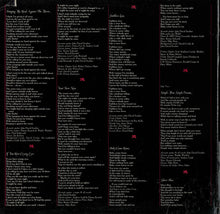 Charger l'image dans la galerie, John David Souther : Black Rose (LP, Album, Gat)