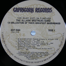 Load image into Gallery viewer, The Allman Brothers Band : The Road Goes On Forever (2xLP, Comp, San)