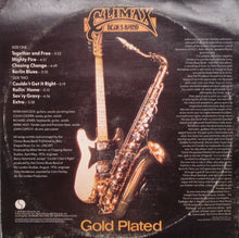Laden Sie das Bild in den Galerie-Viewer, Climax Blues Band : Gold Plated (LP, Album, Pit)