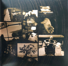 Laden Sie das Bild in den Galerie-Viewer, John Prine : The Tree Of Forgiveness (LP, Album)