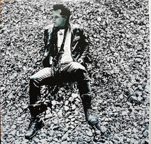 Load image into Gallery viewer, Mike Farris : Silver & Stone (2xLP, Album)