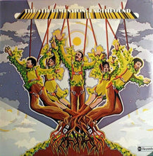 Laden Sie das Bild in den Galerie-Viewer, The 5th Dimension* : Earthbound (LP, Album)
