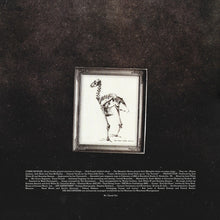 Laden Sie das Bild in den Galerie-Viewer, The Raconteurs : Consolers Of The Lonely (2xLP, Album, Tri)
