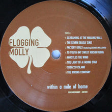 Load image into Gallery viewer, Flogging Molly : Within A Mile Of Home (LP, Album)