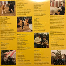 Load image into Gallery viewer, The Beach Boys : Pet Sounds (LP, Album, Mono, Yel + LP, Album, Gre + Ltd, Num, )
