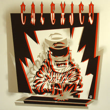 Load image into Gallery viewer, Calexico : Hot Rail (LP, Album)
