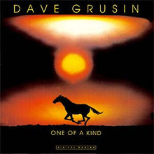 Load image into Gallery viewer, Dave Grusin : One Of A Kind (LP, Album, RE)