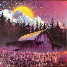 Laden Sie das Bild in den Galerie-Viewer, Tyler Childers : Country Squire (LP, Album)