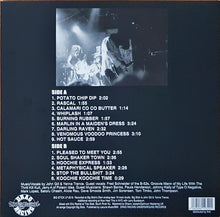 Laden Sie das Bild in den Galerie-Viewer, Big Stick : LP (LP, Album, Ltd, CD)