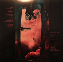 Laden Sie das Bild in den Galerie-Viewer, The Messthetics : Anthropocosmic Nest (LP, Album)