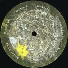 Laden Sie das Bild in den Galerie-Viewer, The Messthetics : Anthropocosmic Nest (LP, Album)