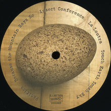 Laden Sie das Bild in den Galerie-Viewer, The Messthetics : Anthropocosmic Nest (LP, Album)