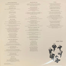 Load image into Gallery viewer, They Might Be Giants : They Might Be Giants (LP, Album, Ltd, Num, RE, RM, Pin)