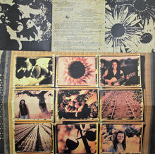 Load image into Gallery viewer, Tracy Chapman : New Beginning (CD, Album)