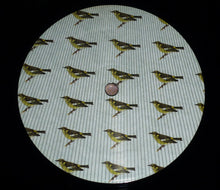 Load image into Gallery viewer, Willie Nelson : Songbird (LP, Album, 180)