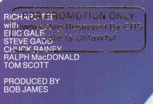 Load image into Gallery viewer, Richard Tee : Strokin' (LP, Album, Promo)