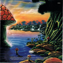 Load image into Gallery viewer, The Allman Brothers Band : Where It All Begins (CD, Album, DAD)