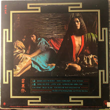 Load image into Gallery viewer, Tommy Bolin : Private Eyes (LP, Album, Ter)