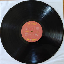 Load image into Gallery viewer, The Presidents Of The United States Of America : The Presidents Of The United States Of America (LP, Album, RE, RM)