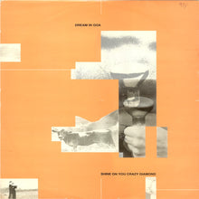 Laden Sie das Bild in den Galerie-Viewer, Dream In Goa : Shine On You Crazy Diamond (12")