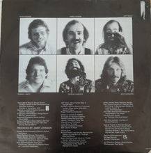 Load image into Gallery viewer, The Amazing Rhythm Aces : Amazing Rhythm Aces (LP, Album, Pin)