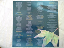 Charger l'image dans la galerie, Jennifer Warnes : The Well (LP, RE)