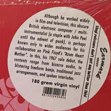 Load image into Gallery viewer, Ron Geesin : A Raise Of Eyebrows (LP, Album, RE, 180)