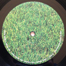 Load image into Gallery viewer, David Byrne & Brian Eno : Everything That Happens Will Happen Today (LP, Album)