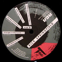 Load image into Gallery viewer, Rick Springfield : Tao (LP, Album, Ind)