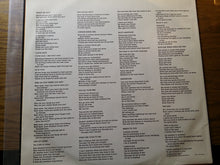 Charger l'image dans la galerie, The Producers (6) : The Producers (LP, Album, Pit)