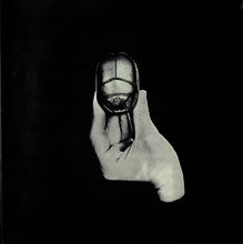 Load image into Gallery viewer, Ray Manzarek : The Golden Scarab (LP, Album, San)