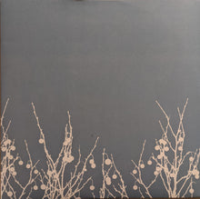 Laden Sie das Bild in den Galerie-Viewer, The Shins : Oh, Inverted World (LP, RE, RM)