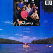 Load image into Gallery viewer, The Radiators : Law Of The Fish (LP, Album)