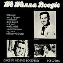 Load image into Gallery viewer, Various : We Wanna Boogie (LP, Comp, Mono, Unofficial)
