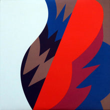 Load image into Gallery viewer, The Fiery Furnaces : Remember (3xLP, Album, Ltd, Gat)