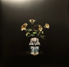 Load image into Gallery viewer, Billy Strings : Renewal (2xLP, Album)