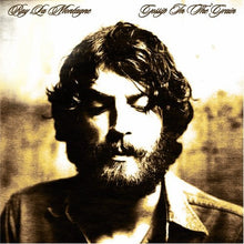 Laden Sie das Bild in den Galerie-Viewer, Ray La Montagne* : Gossip In The Grain (2xLP, Album, 180)