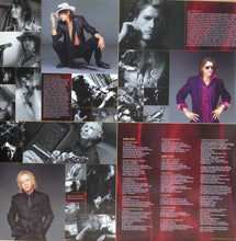 Charger l'image dans la galerie, Aerosmith : Honkin' On Bobo (LP, Album)