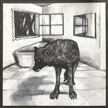 Laden Sie das Bild in den Galerie-Viewer, Grinderman : Grinderman 2 (LP, Album + CD, Album)