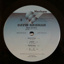 Load image into Gallery viewer, David Grisman : Hot Dawg (LP, Album, Promo, Ter)