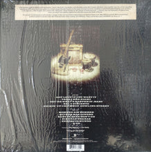 Load image into Gallery viewer, Billy Gibbons and The BFG's : Perfectamundo (LP, Album, RP)